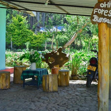 Ohiya Forest Lodge Екстер'єр фото