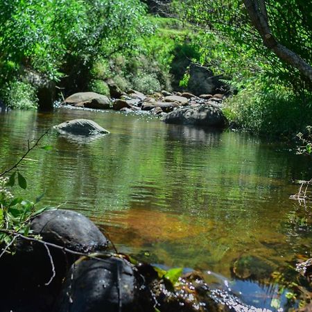 Ohiya Forest Lodge Екстер'єр фото