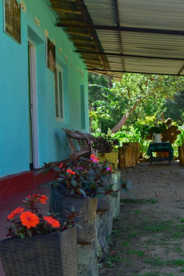 Ohiya Forest Lodge Екстер'єр фото