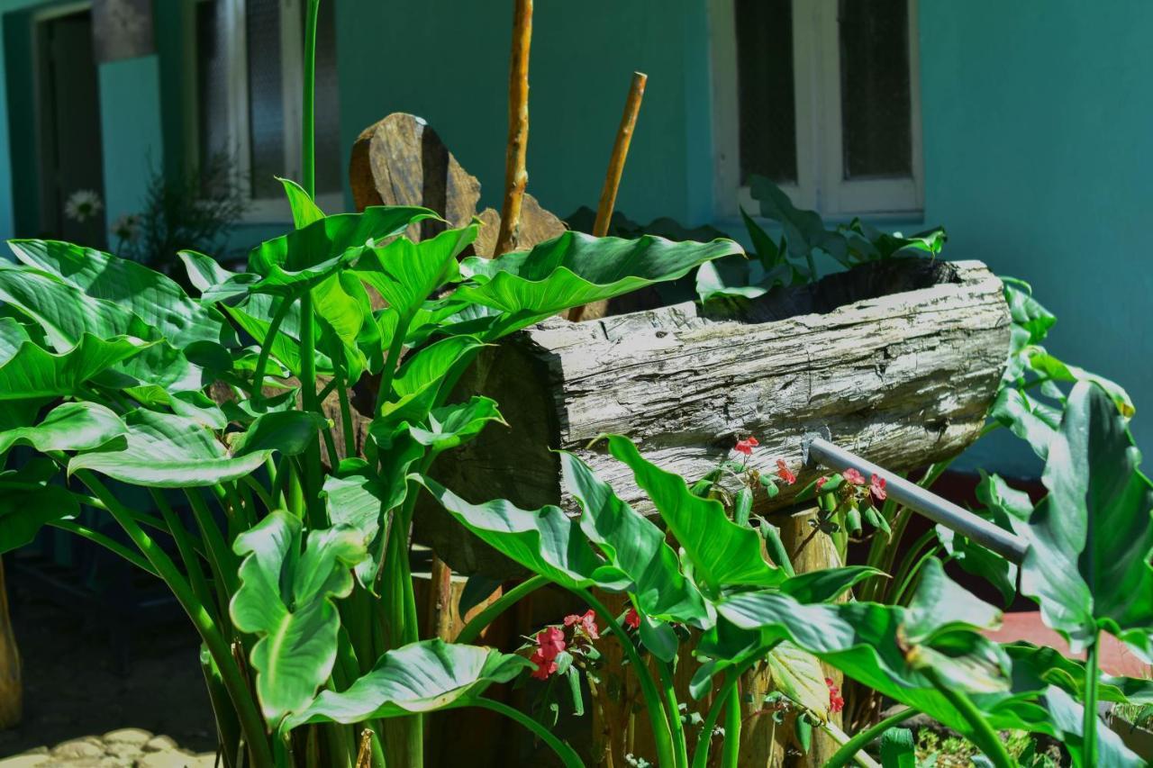 Ohiya Forest Lodge Екстер'єр фото