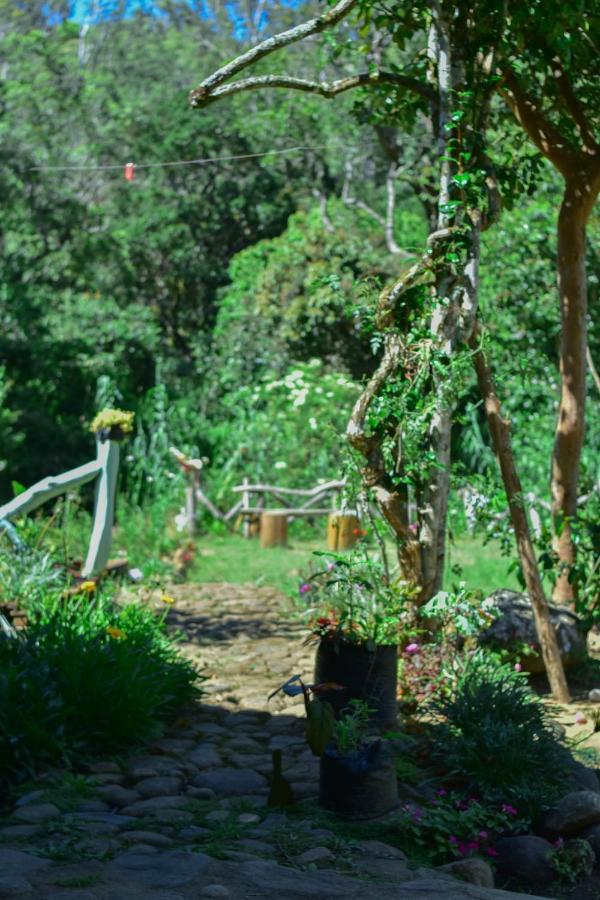 Ohiya Forest Lodge Екстер'єр фото