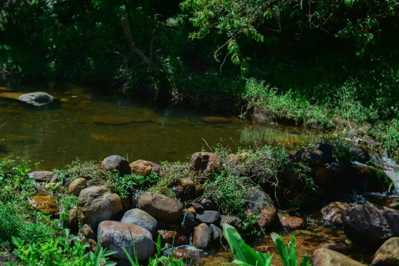 Ohiya Forest Lodge Екстер'єр фото