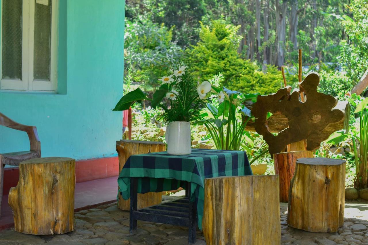 Ohiya Forest Lodge Екстер'єр фото