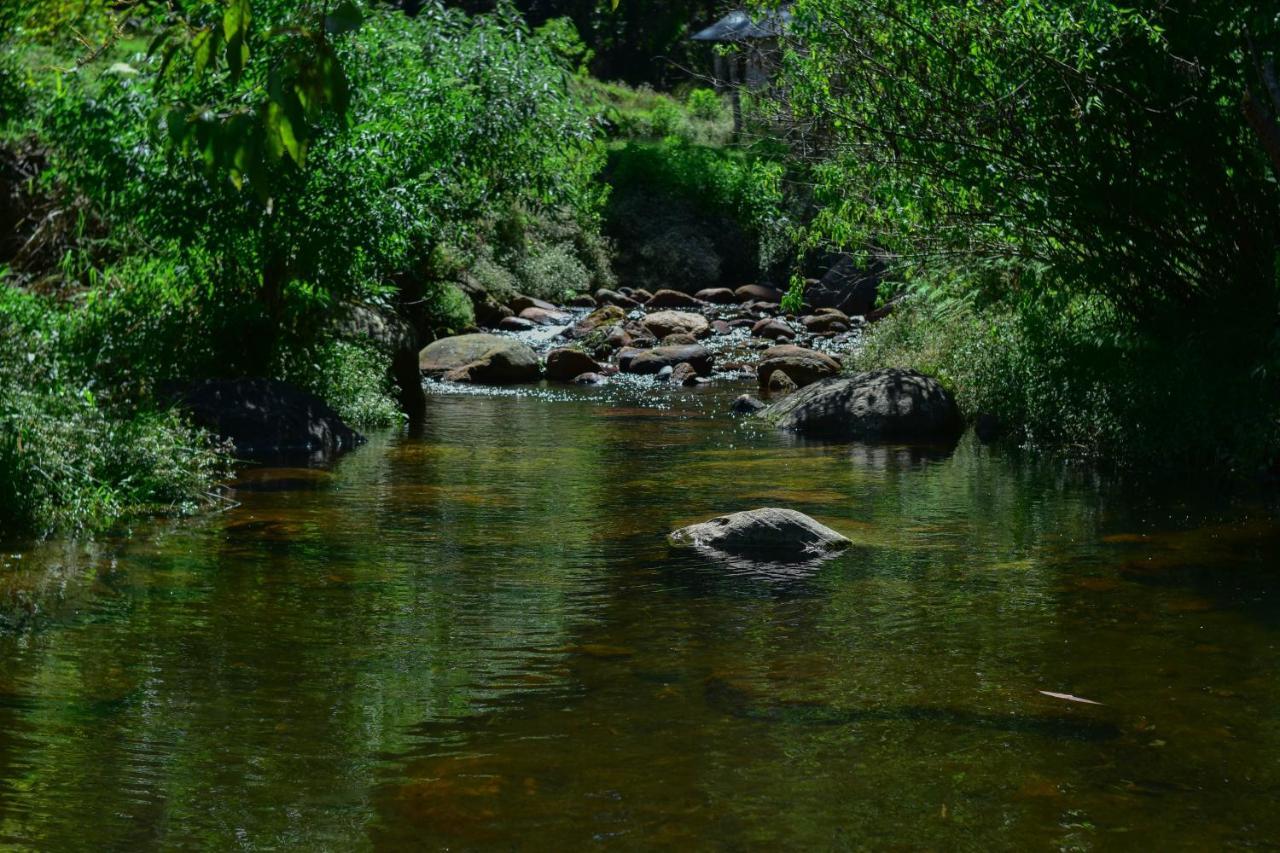Ohiya Forest Lodge Екстер'єр фото